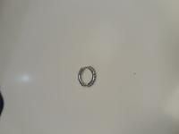 CS2046/2026 SINGLE SILVER COLOURED EARRING